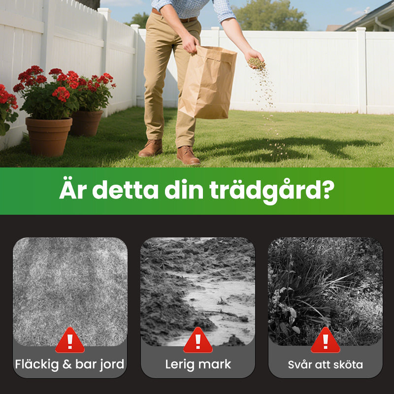 Gräsfrön för gräsmatta och golfbana