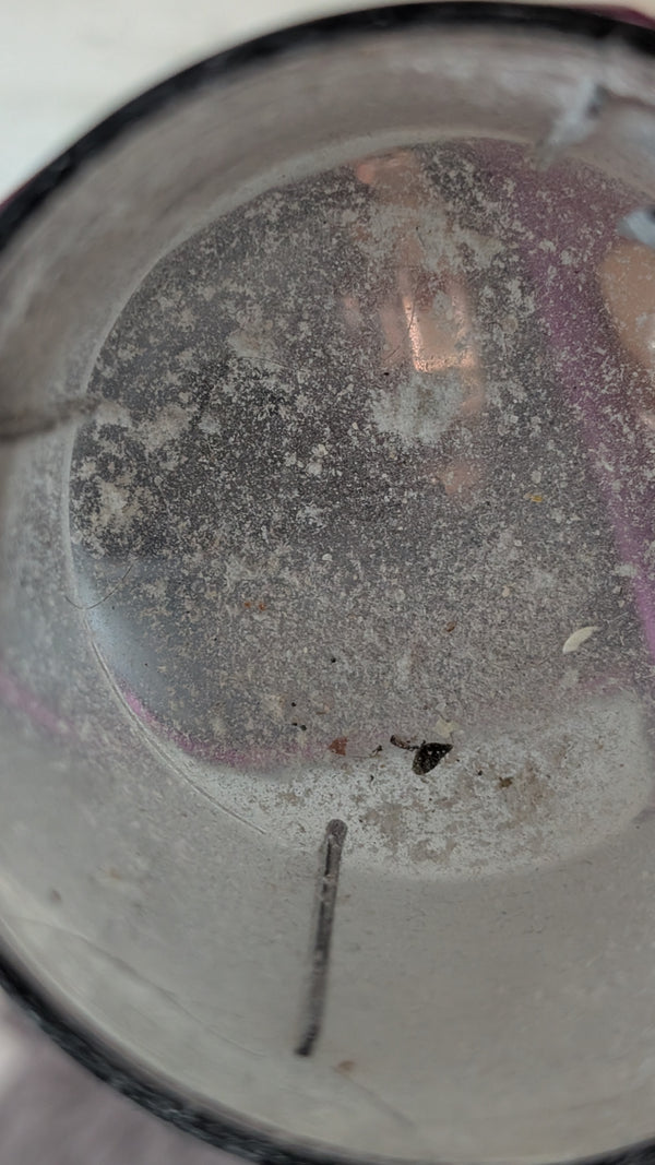 Erik L. review photo