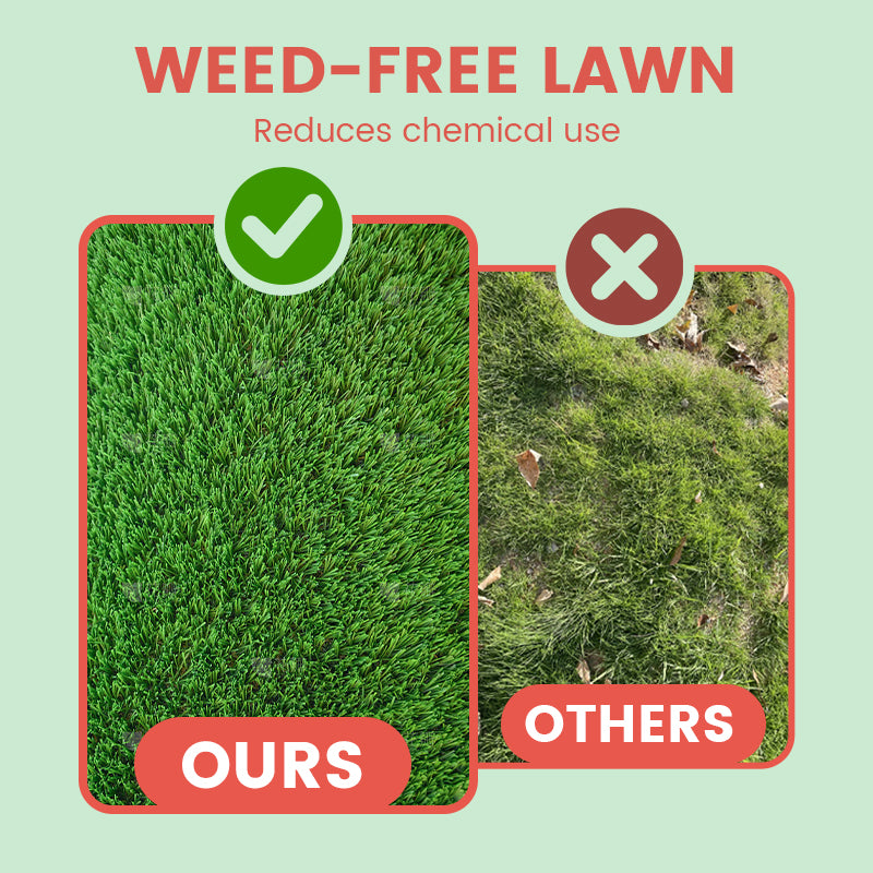 Gräsfrön för gräsmatta och golfbana